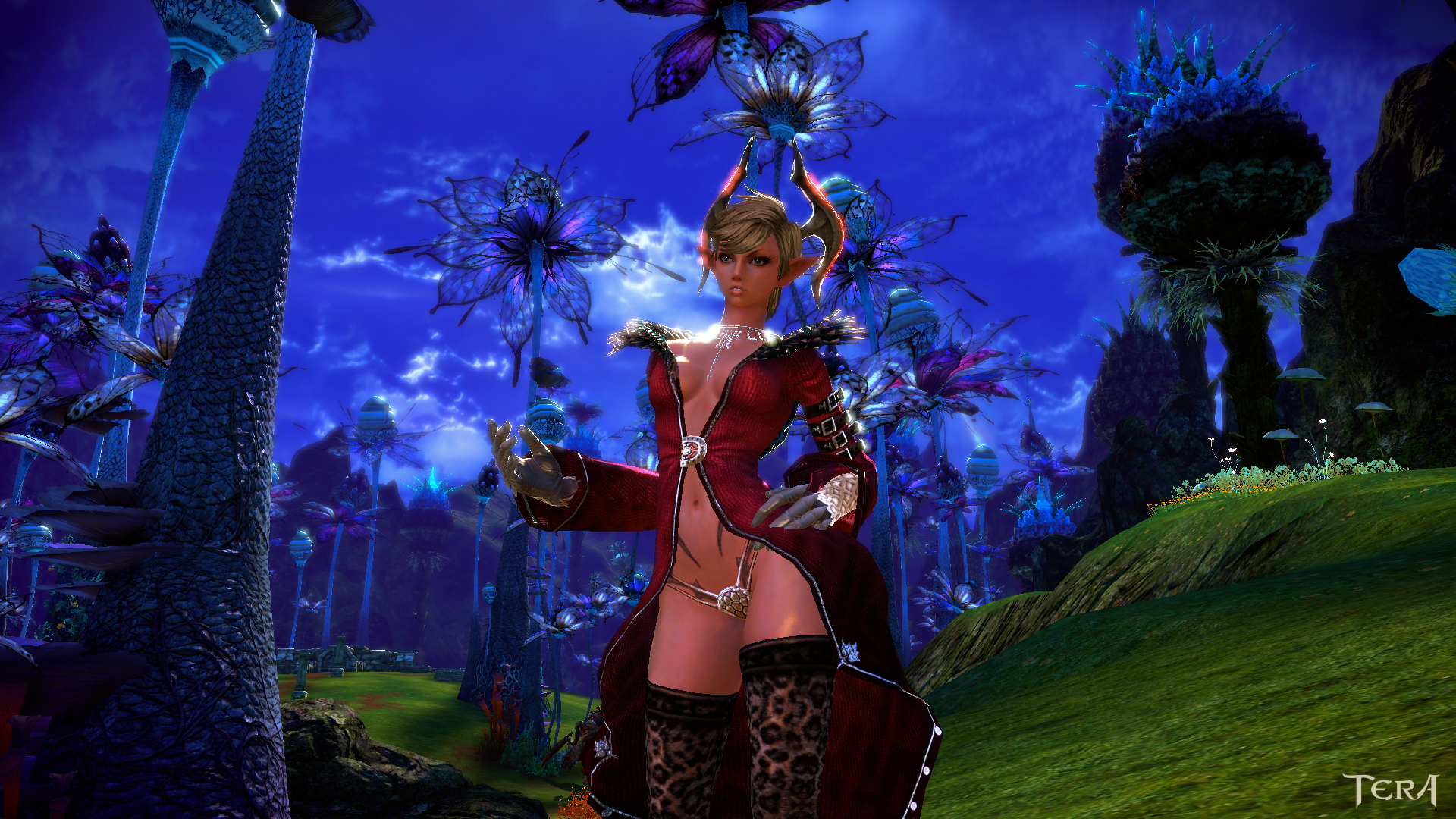 TERA_ScreenShot_20111126_010030.jpg